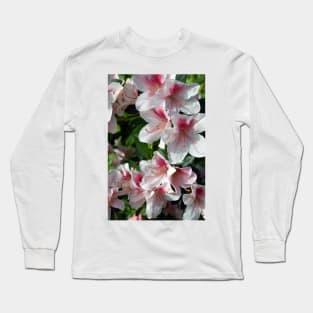 Encore Azalea Flowers 2 Long Sleeve T-Shirt